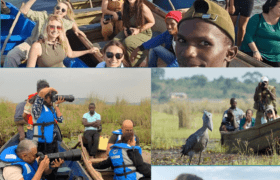 What is a Wetland? Why They Matter for Our Future